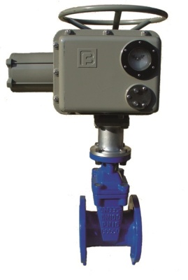 Задвижка с обрезиненным клином фланцевая ABRA с электроприводом Regada В Хабаровске